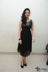 Sadha at Yamaleela 2 Movie Audio Launch